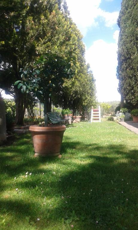 La Vecchia Quercia Villa Pergine Valdarno Ngoại thất bức ảnh